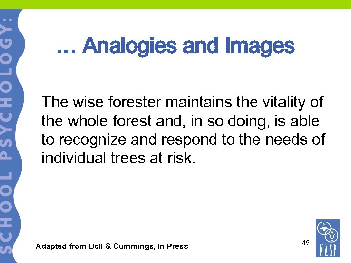 … Analogies and Images The wise forester maintains the vitality of the whole forest