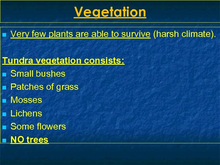 Vegetation n Very few plants are able to survive (harsh climate). Tundra vegetation consists: