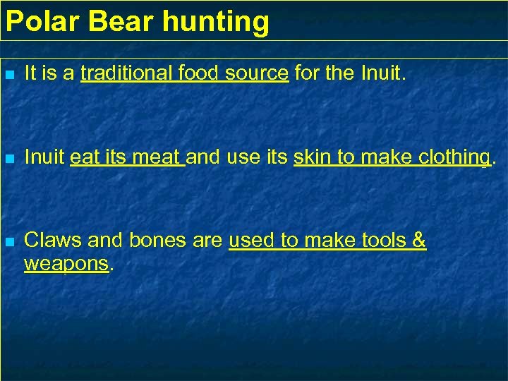 Polar Bear hunting n It is a traditional food source for the Inuit. n