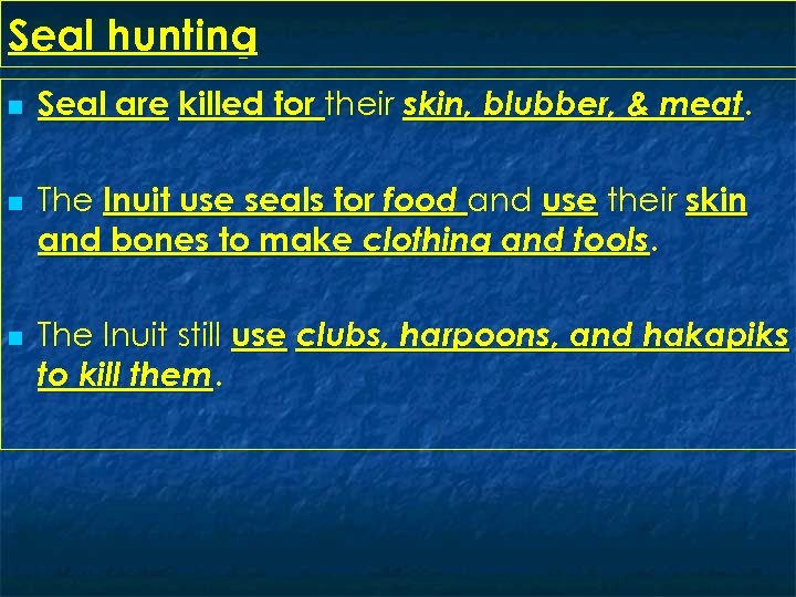 Seal hunting n n n Seal are killed for their skin, blubber, & meat.
