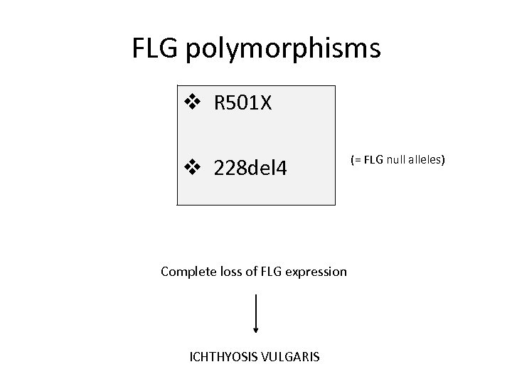 FLG polymorphisms v R 501 X v 228 del 4 Complete loss of FLG