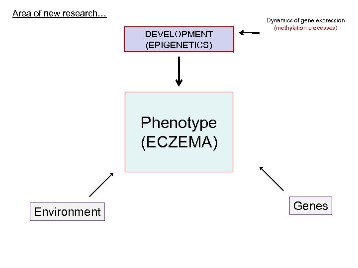 Area of new research… DEVELOPMENT (EPIGENETICS) Dynamics of gene expression (methylation processes) Phenotype (ECZEMA)