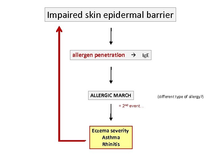 Impaired skin epidermal barrier allergen penetration Ig. E ALLERGIC MARCH = 2 nd event…