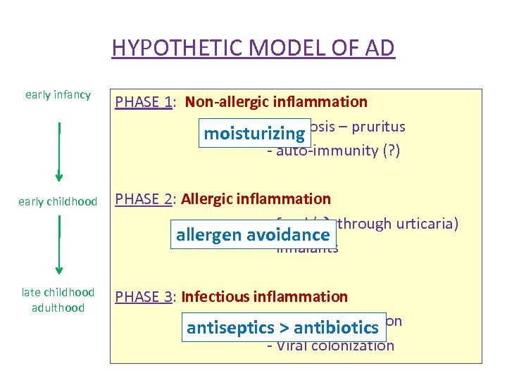 HYPOTHETIC MODEL OF AD early infancy PHASE 1: Non-allergic inflammation - ichtyosis – pruritus