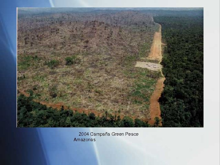 2004 Campaña Green Peace Amazonas 