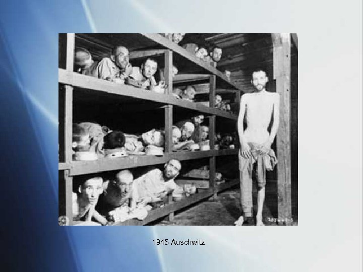 1945 Auschwitz 
