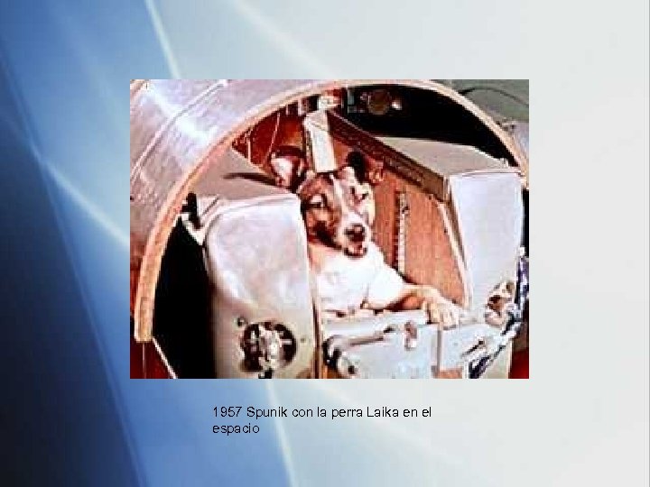 1957 Spunik con la perra Laika en el espacio 