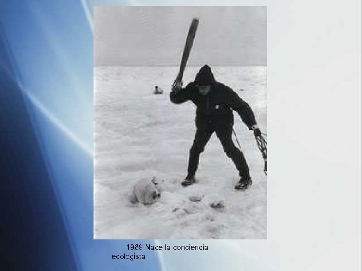 1969 Nace la conciencia ecologista 