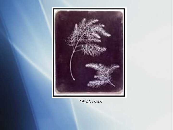 1842 Calotipo 