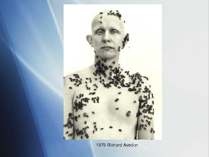 1979 Richard Avedon 