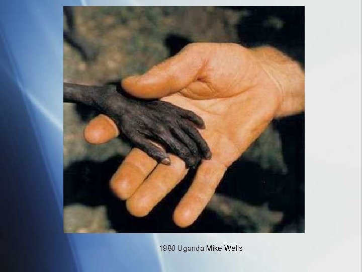 1980 Uganda Mike Wells 