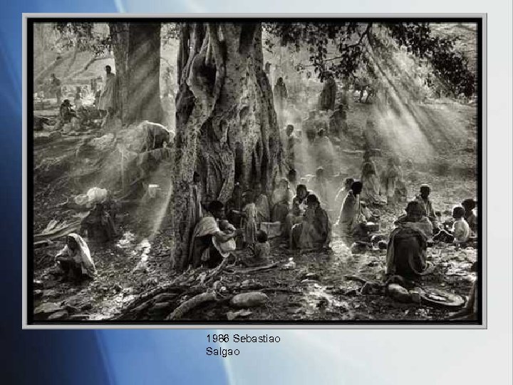 1986 Sebastiao Salgao 