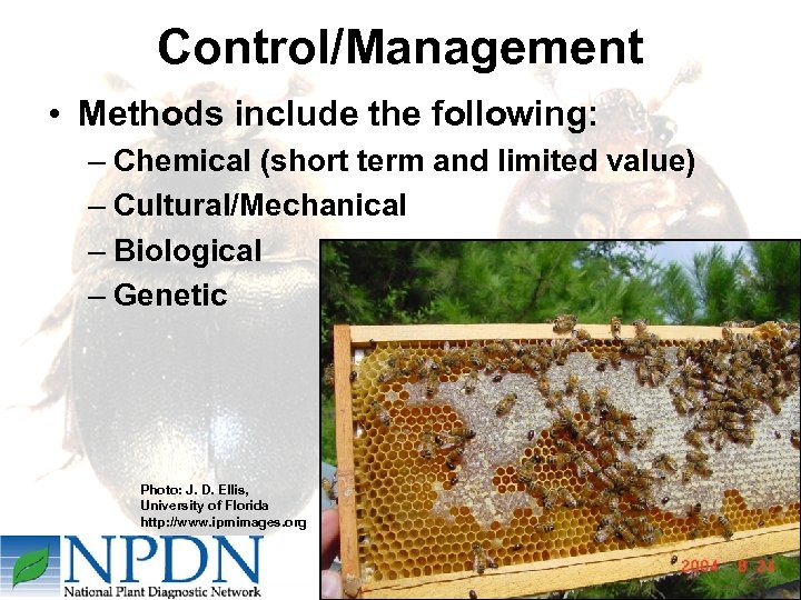 Control/Management • Methods include the following: – Chemical (short term and limited value) –