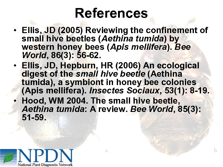 References • Ellis, JD (2005) Reviewing the confinement of small hive beetles (Aethina tumida)