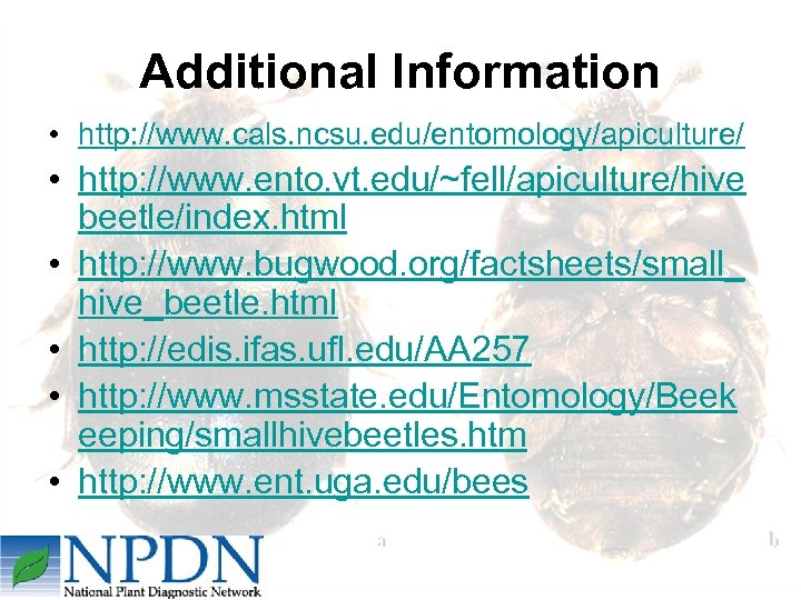 Additional Information • http: //www. cals. ncsu. edu/entomology/apiculture/ • http: //www. ento. vt. edu/~fell/apiculture/hive