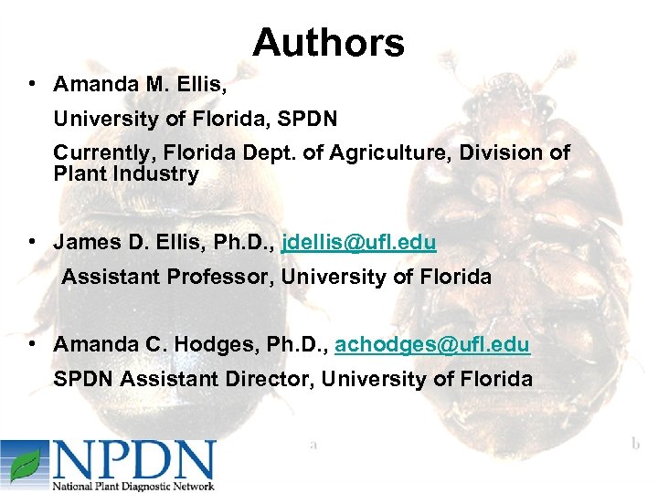 Authors • Amanda M. Ellis, University of Florida, SPDN Currently, Florida Dept. of Agriculture,