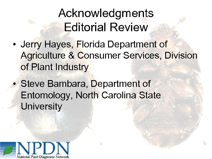 Acknowledgments Editorial Review • Jerry Hayes, Florida Department of Agriculture & Consumer Services, Division