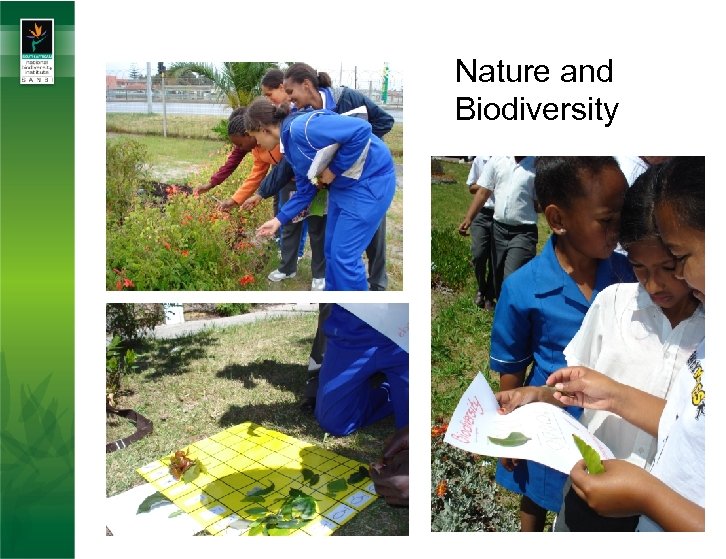 Nature and Biodiversity 