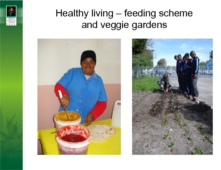 Healthy living – feeding scheme and veggie gardens 