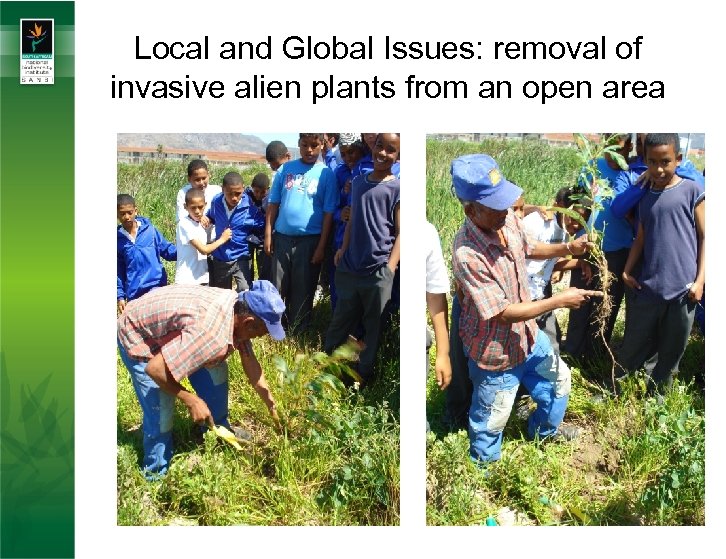 Local and Global Issues: removal of invasive alien plants from an open area 