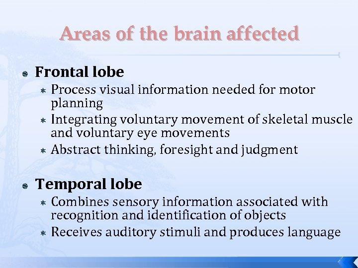 Areas of the brain affected Frontal lobe Process visual information needed for motor planning