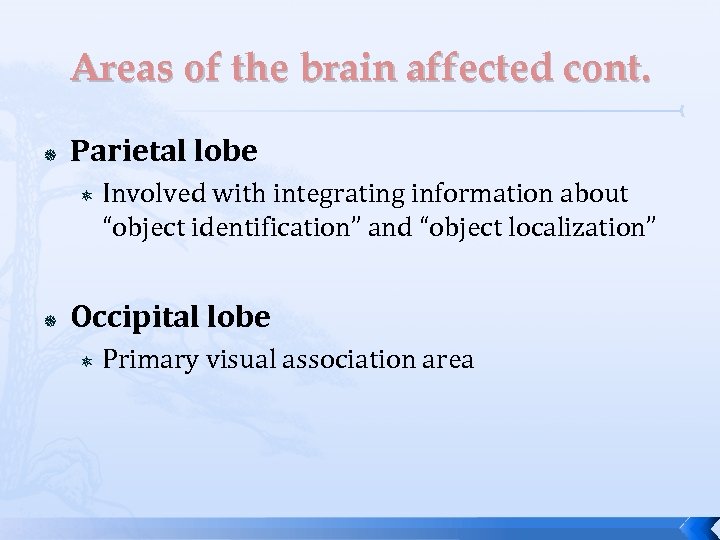 Areas of the brain affected cont. Parietal lobe Involved with integrating information about “object