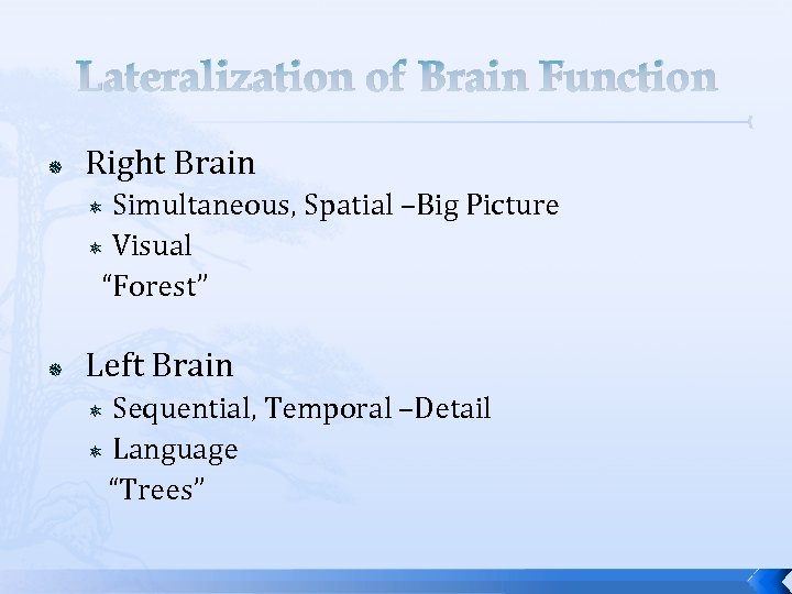 Lateralization of Brain Function Right Brain Simultaneous, Spatial –Big Picture Visual “Forest” Left Brain