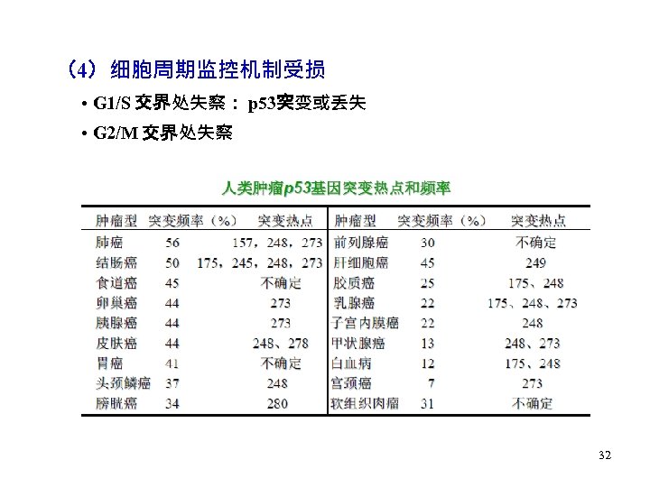 （4）细胞周期监控机制受损 • G 1/S 交界处失察： p 53突变或丢失 • G 2/M 交界处失察 32 