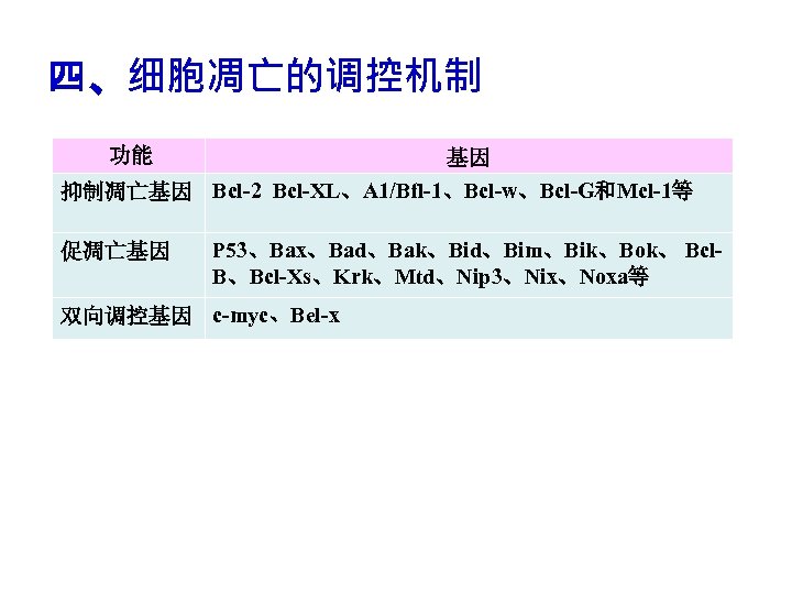 四、细胞凋亡的调控机制 功能 基因 抑制凋亡基因 Bcl-2 Bcl-XL、A 1/Bfl-1、Bcl-w、Bcl-G和Mcl-1等 促凋亡基因 P 53、Bax、Bad、Bak、Bid、Bim、Bik、Bok、 Bcl. B、Bcl-Xs、Krk、Mtd、Nip 3、Nix、Noxa等 双向调控基因