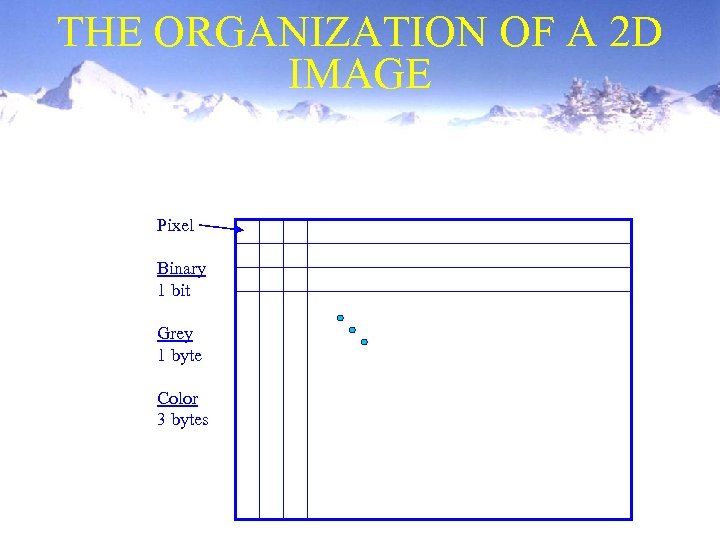 THE ORGANIZATION OF A 2 D IMAGE Pixel Binary 1 bit Grey 1 byte