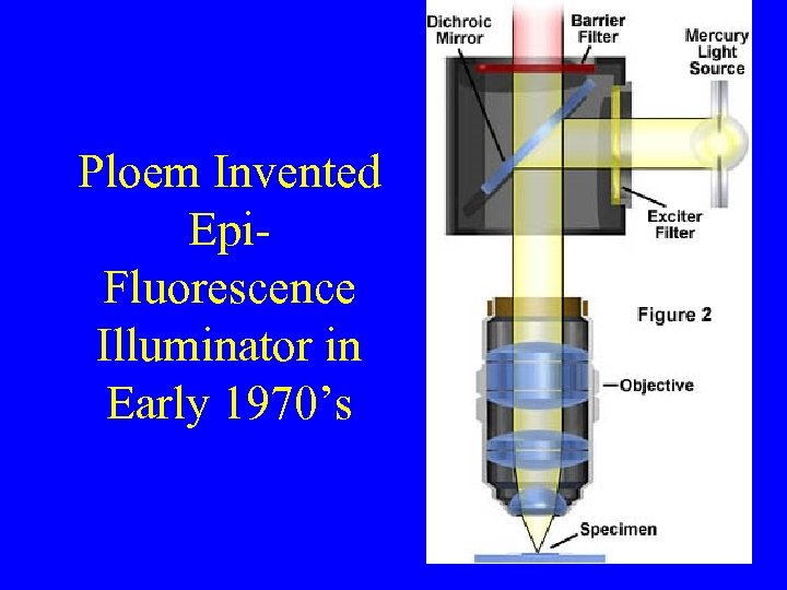 Ploem Invented Epi. Fluorescence Illuminator in Early 1970’s 