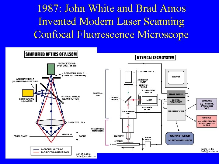 1987: John White and Brad Amos Invented Modern Laser Scanning Confocal Fluorescence Microscope 