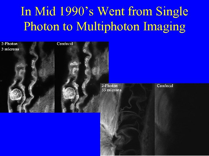 In Mid 1990’s Went from Single Photon to Multiphoton Imaging 