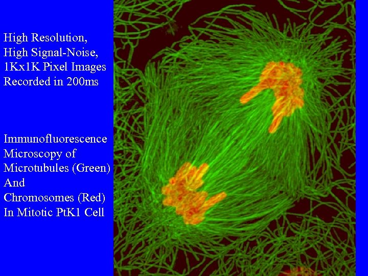 High Resolution, High Signal-Noise, 1 Kx 1 K Pixel Images Recorded in 200 ms