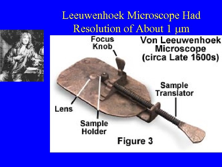 Leeuwenhoek Microscope Had Resolution of About 1 mm 