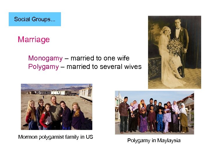 Social Groups. . . Marriage Monogamy – married to one wife Polygamy – married