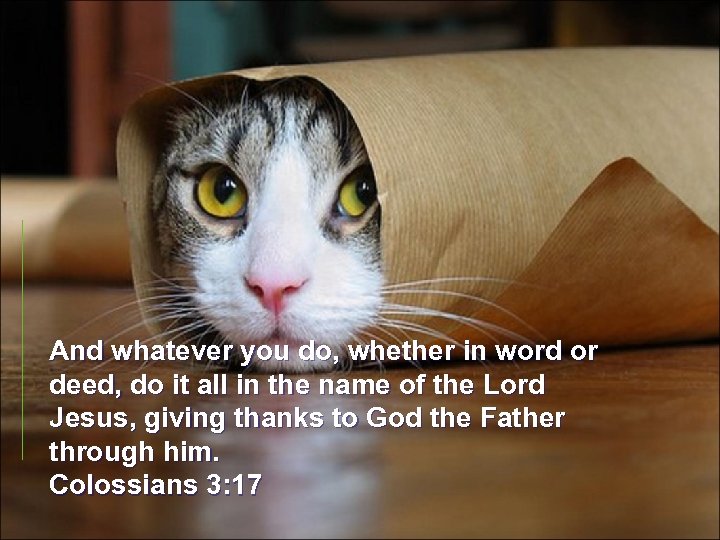 And whatever you do, whether in word or deed, do it all in the