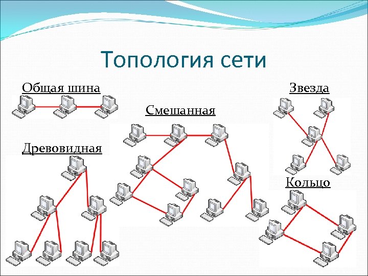 Какая топология сети представлена на рисунке