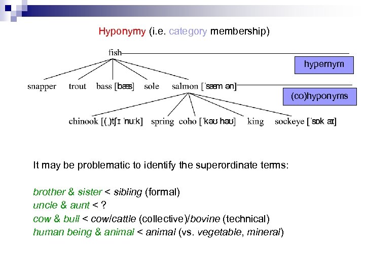 Hyponymy (i. e. category membership) hypernym (co)hyponyms It may be problematic to identify the