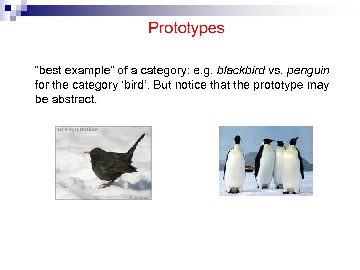 Prototypes “best example” of a category: e. g. blackbird vs. penguin for the category