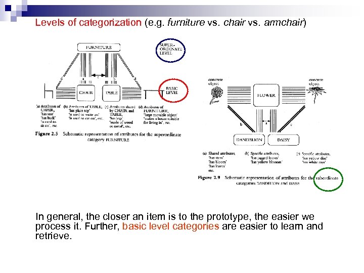 Levels of categorization (e. g. furniture vs. chair vs. armchair) In general, the closer