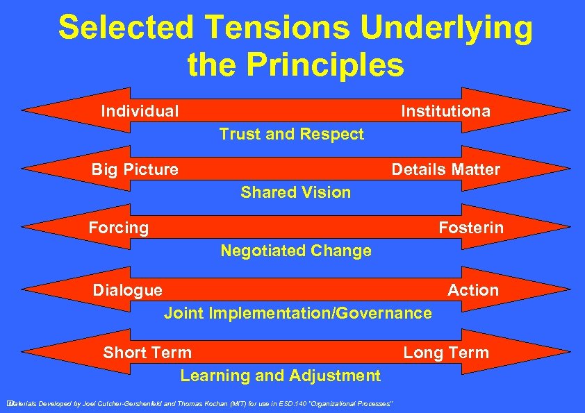 Selected Tensions Underlying the Principles Individual Institutiona Trust and Respect Big Picture Details Matter