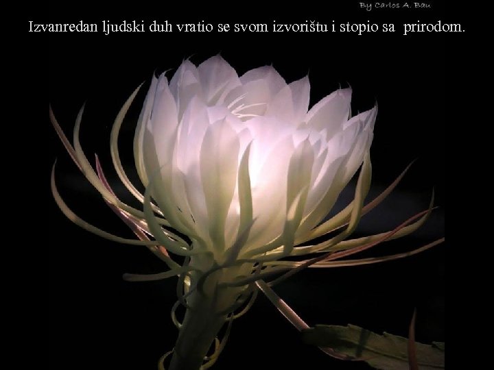 Izvanredan ljudski duh vratio se svom izvorištu i stopio sa prirodom. 