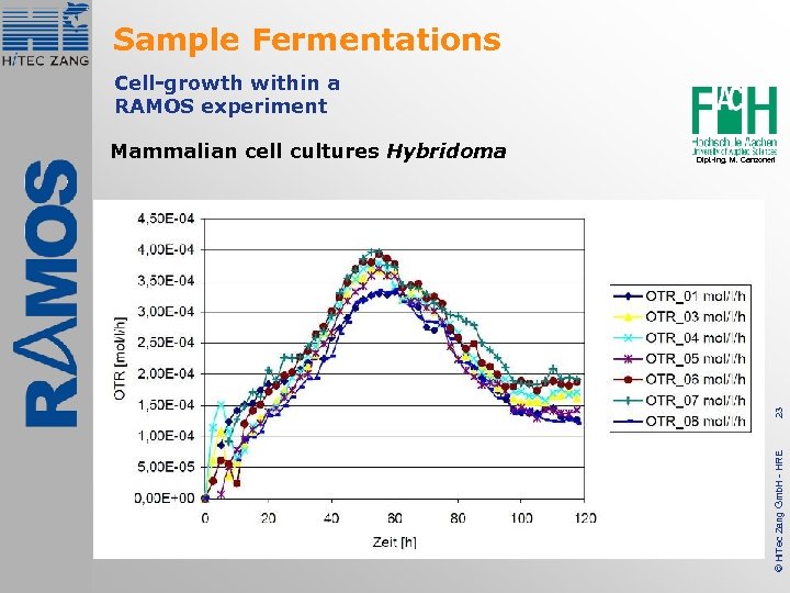 Sample Fermentations Cell-growth within a RAMOS experiment 23 Dipl. -Ing. M. Canzoneri © Hi.