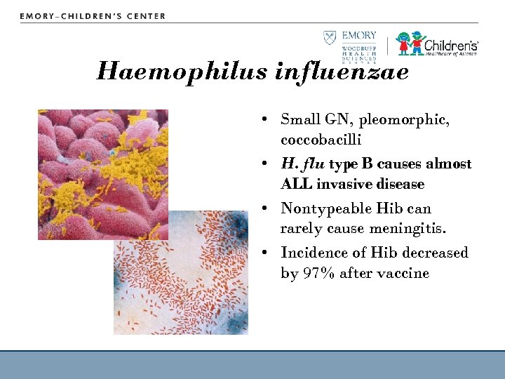 Haemophilus influenzae • Small GN, pleomorphic, coccobacilli • H. flu type B causes almost