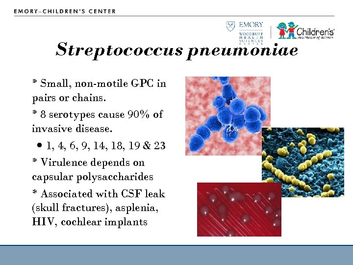 Streptococcus pneumoniae * Small, non-motile GPC in pairs or chains. * 8 serotypes cause