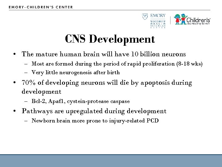 CNS Development • The mature human brain will have 10 billion neurons – Most