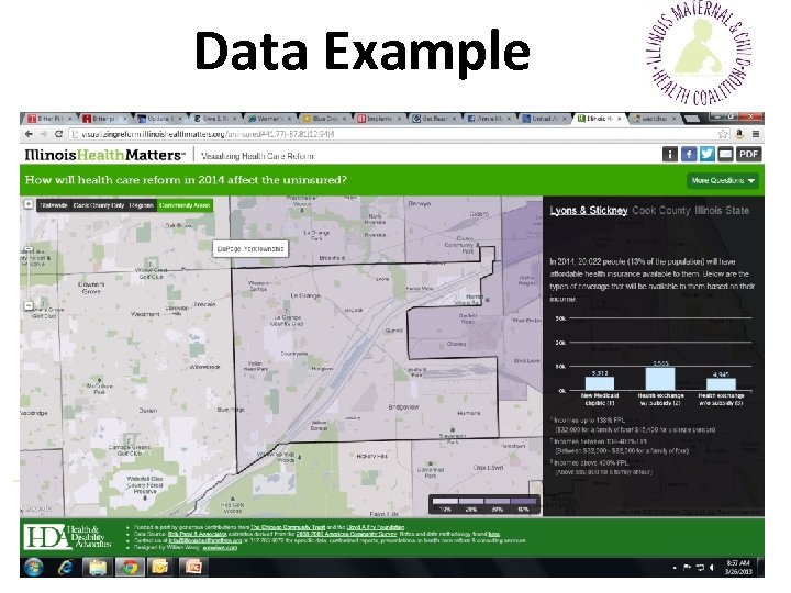 Data Example Illinois Maternal & Child Health Coalition 