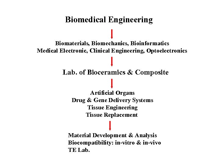 Biomedical Engineering Biomaterials, Biomechanics, Bioinformatics Medical Electronic, Clinical Engineering, Optoelectronics Lab. of Bioceramics &