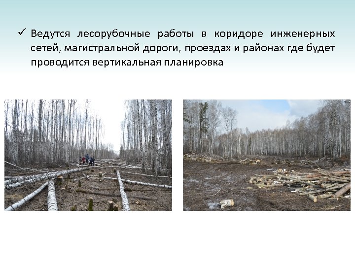 ü Ведутся лесорубочные работы в коридоре инженерных сетей, магистральной дороги, проездах и районах где